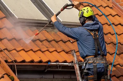 Démoussage et hydrofuge de toiture aux Halles